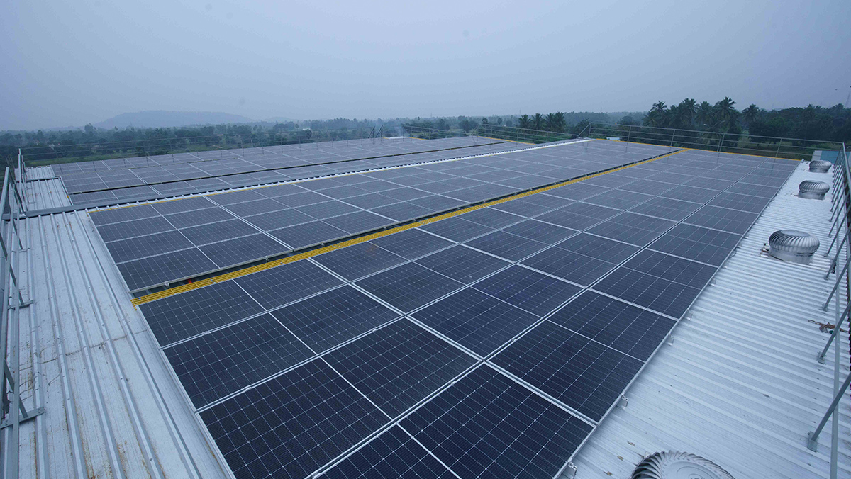 Sara Leathers & M+L Leathers - Sunbest solar project