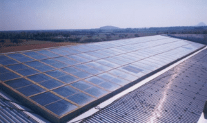 Duraisamy Foods And Spices