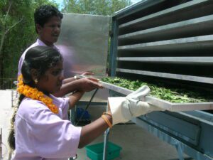 Irula Herbal Village