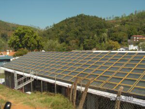 Golden Hill Tea Estate