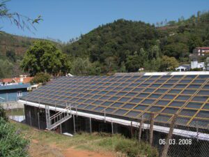 Golden Hill Tea Estate